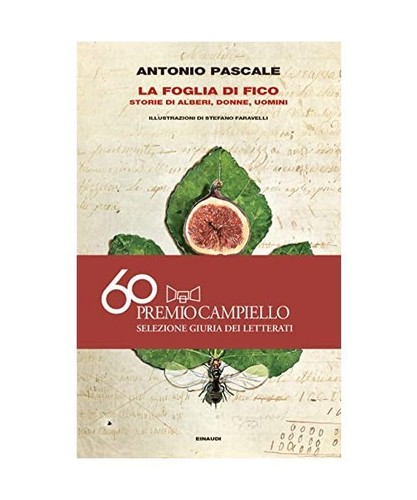 Foglia fico storie di - di, fico.storie