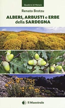 Alberi arbusti erbe - erbe, della